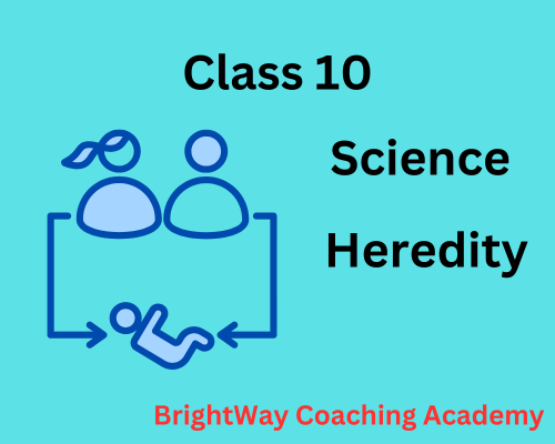 Science Chapter 8 Heredity 1 Class 10 Science Chapter 8 Heredity