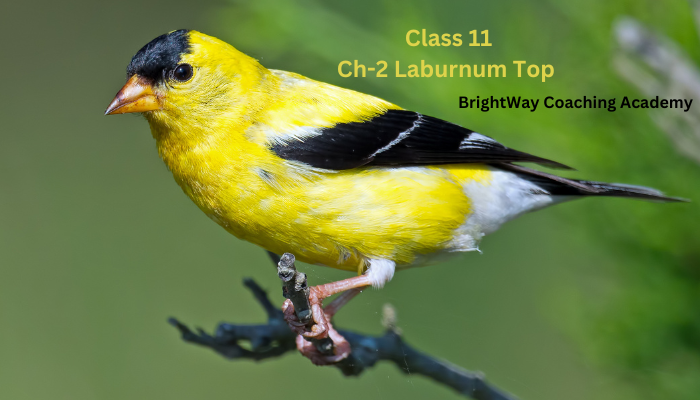 Class 11 English Ch-2 The Laburnum Top 1 Class 11 English Ch-2 The Laburnum Top