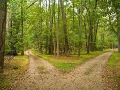 Class 9 English Poem Chapter 1 The Road Not Taken