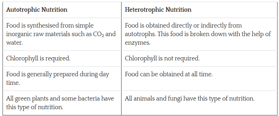 Class 10 Science Ch-5 Life Processes 1 image 12