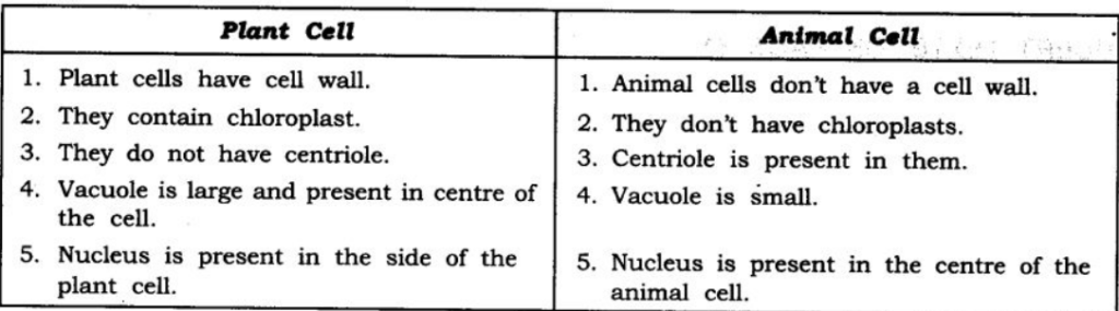 Class 9 Science Ch-5 The Fundamental Unit of Life 2 image 26