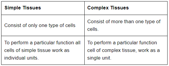 Class 9 Science Ch-6 Tissues 1 Class 9 Science Ch-6 Tissues