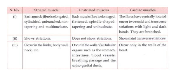 Class 9 Science Ch-6 Tissues 5 image 35