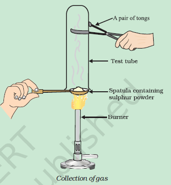Class 10 Science Ch 3 Metals and Non-Metals 7 NCERT Solution of Class 10 Science Ch- 3 Metals and Non-Metals