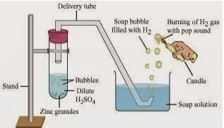 Class 10 Science Ch-2 Acids Bases and Salts 2 NCERT Solution of Class 10 Science Ch-2 Acids Bases and Salts अम्ल, क्षारक एवं लवण