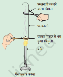 Class 10 Science Ch 3 Metals and Non-Metals 8 NCERT Solution of Class 10 Science Ch- 3 Metals and Non-Metals