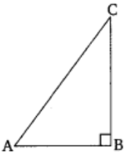 NCERT Solutions for Class 10 Maths Chapter 8 4 image 106