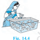NCERT Solutions for Class 10 Maths Chapter 14 1 image 115