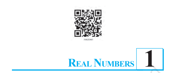 NCERT Solutions for Class 10 Maths Chapter 1 1 NCERT Solutions for Class 10 Maths Chapter 1 Real Numbers