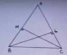 Important Questions for Class 9 Maths Ch-7 4 image 37