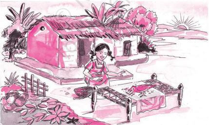 NCERT Solutions for Class 9 Sanskrit Chapter 2 1 NCERT Solutions for Class 9 Sanskrit Chapter 2 स्वर्णकाकः