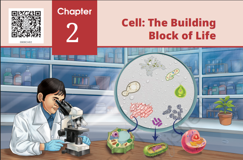 NCERT Solutions for Class 9 Science Chapter 2 The Building Blocks of Life