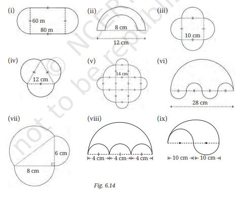 NCERT Solutions for Class 9 Ganita Manjari Chapter 6